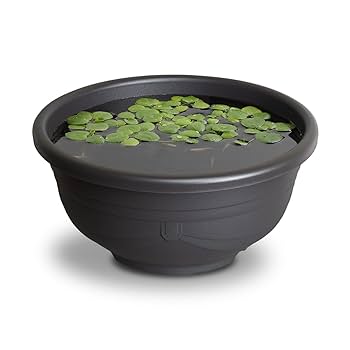 新品　メダカ鉢 黒茶18号 黒 3個セット　おまけ有り　針子ネット水槽　金魚 新品 メダカ鉢 黒茶18号 黒 3個セット おまけ有り 針子ネット